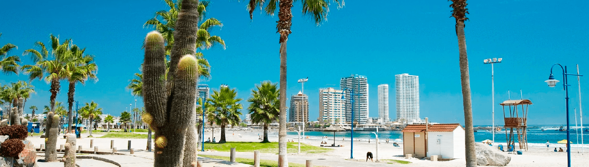 Ônibus para Iquique