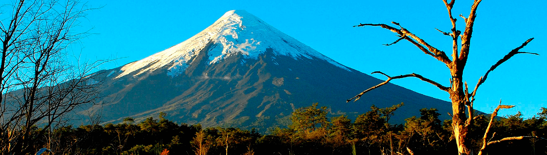 Bus tickets to Osorno